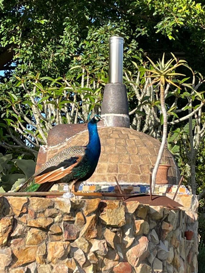 Moonriver Cottage, Prime Lagoon Views & Solar Power Knysna Esterno foto